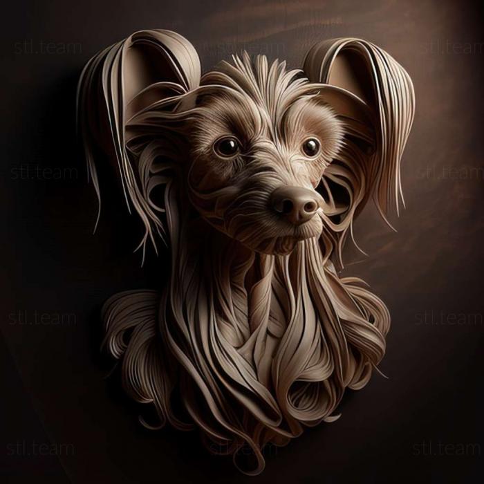 Chinese Crested dog